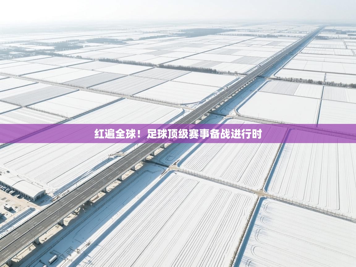 红遍全球!足球顶级赛事备战进行时 第1张