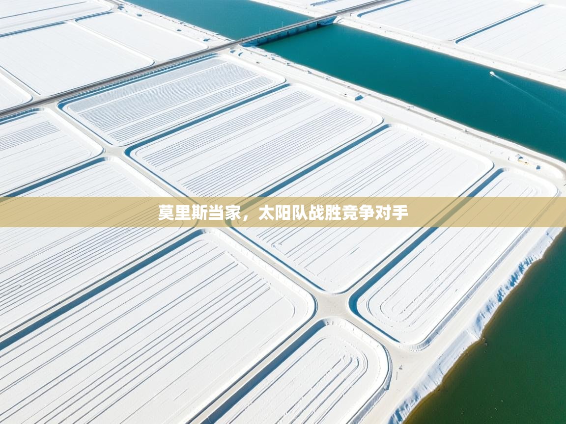 莫里斯当家,太阳队战胜竞争对手 第2张