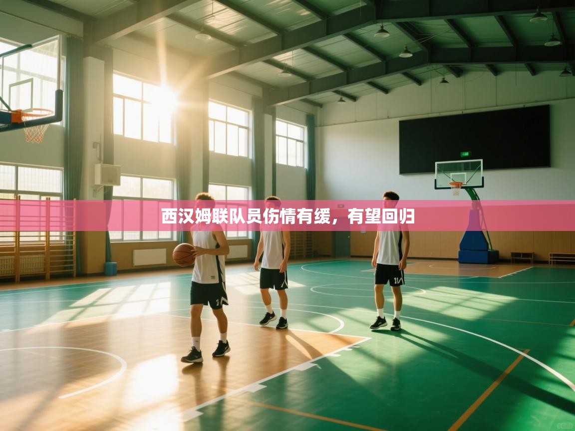 西汉姆联队员伤情有缓，有望回归  第1张