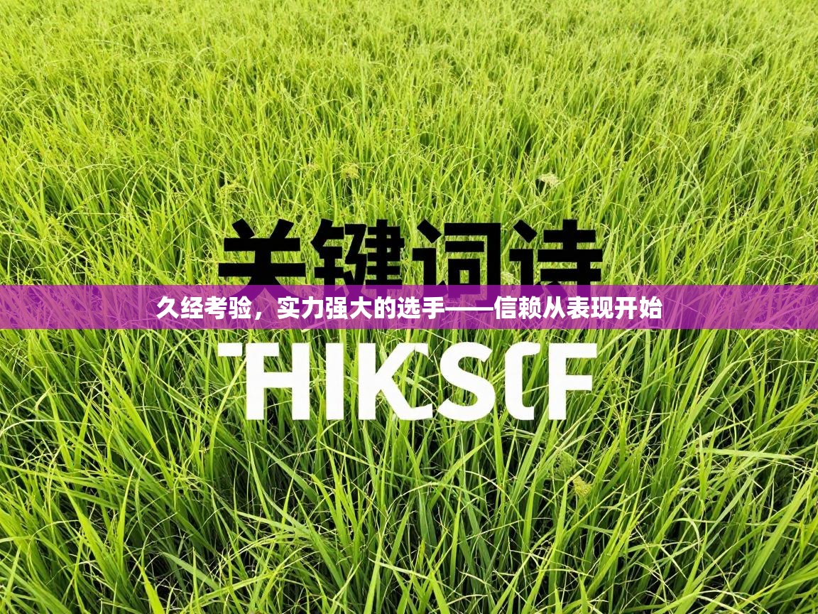 久经考验,实力强大的选手——信赖从表现开始 第2张