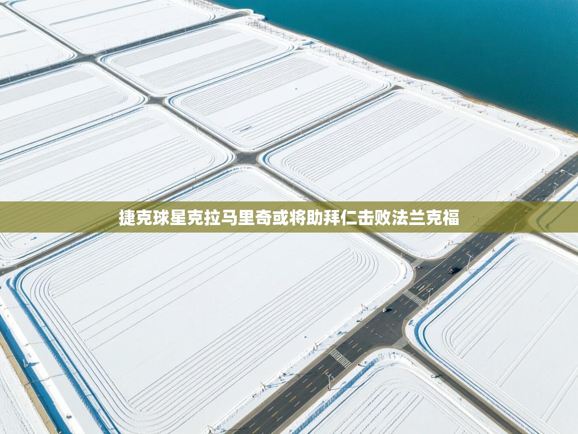 捷克球星克拉马里奇或将助拜仁击败法兰克福 第2张