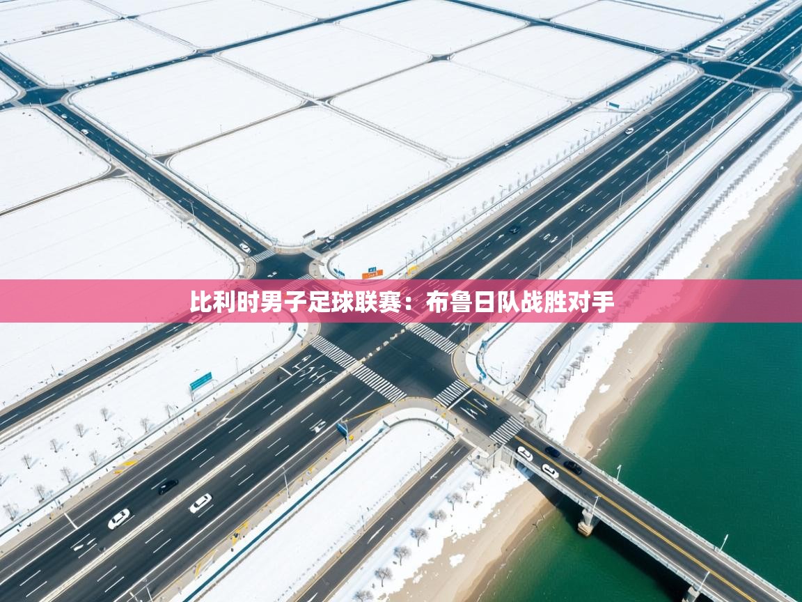 比利时男子足球联赛:布鲁日队战胜对手 第2张